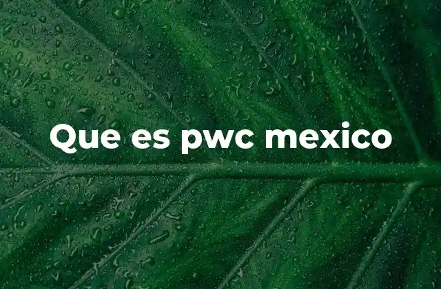 Que es Pwc Mexico