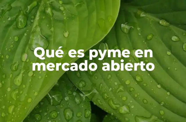 Qué es Pyme en Mercado Abierto