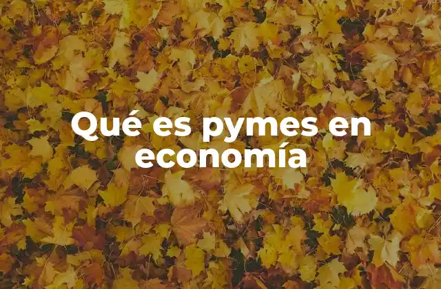 Qué es Pymes en Economía
