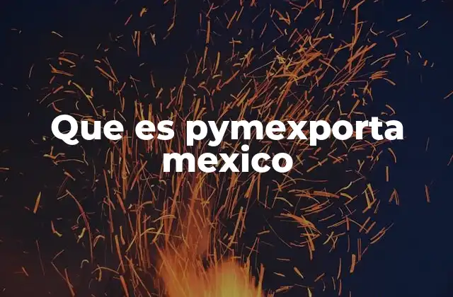 Que es Pymexporta Mexico 2 Cómo PyMexporta México apoya a las PyMES en su internacionalización
