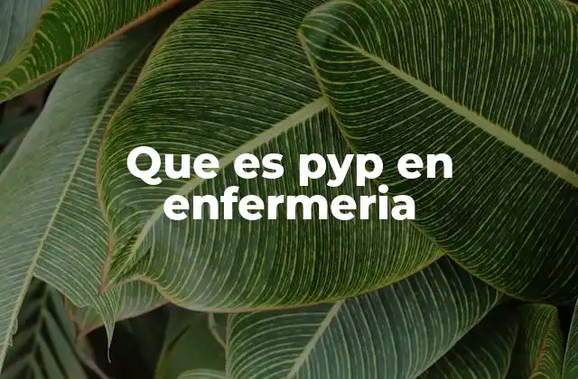 Que es Pyp en Enfermeria