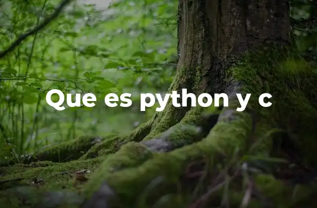 Que es Python y C
