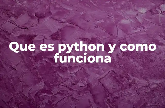 Que es Python y como Funciona