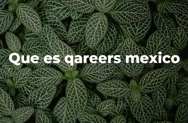 Que es Qareers Mexico