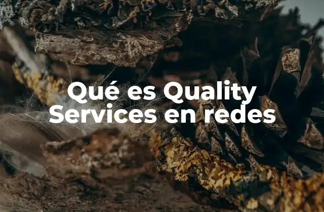Qué es Quality Services en Redes