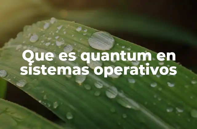 El papel del quantum en la planificación de procesos