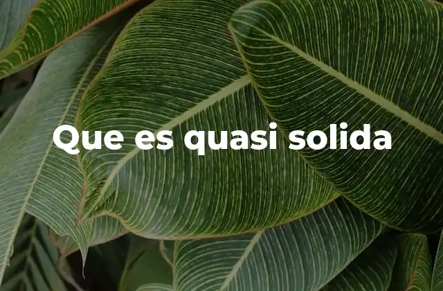 Que es Quasi Solida