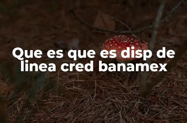 Que es que es Disp de Linea Cred Banamex