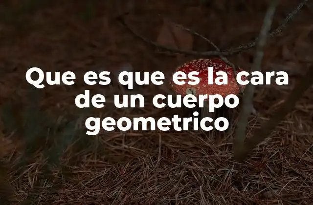 Que es que es la Cara de un Cuerpo Geometrico