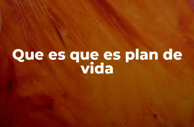 Que es que es Plan de Vida