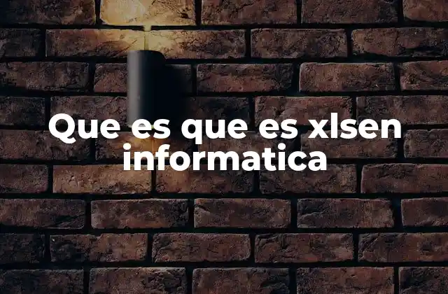 Que es que es Xlsen Informatica