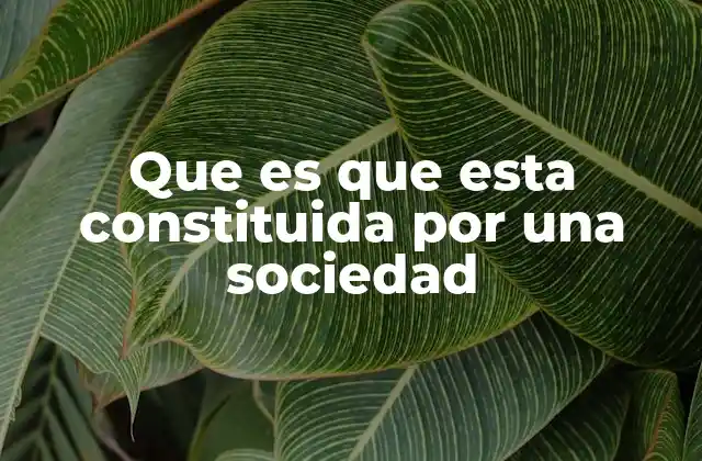 Que es que Esta Constituida por una Sociedad