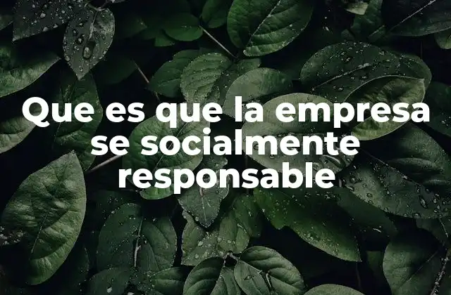 Que es que la Empresa Se Socialmente Responsable