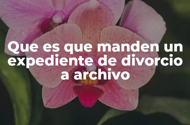 El proceso legal detrás de la gestión de expedientes de divorcio