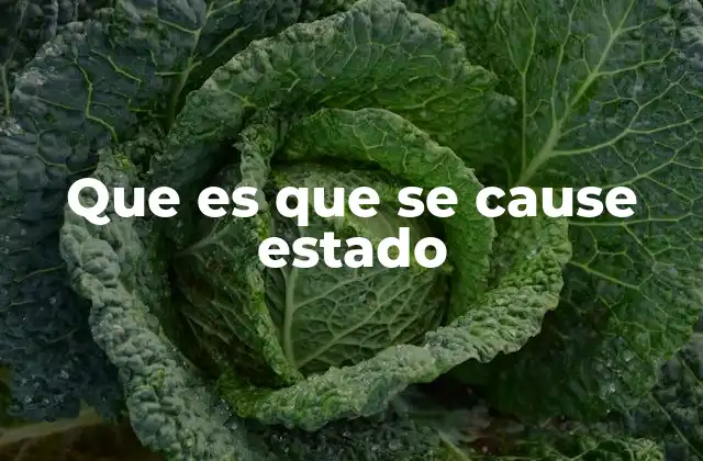 Que es que Se Cause Estado 2 Cómo se puede interpretar el concepto detrás de que se cause estado