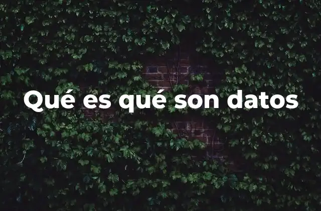 Qué es Qué Son Datos