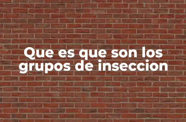 Que es que Son los Grupos de Inseccion
