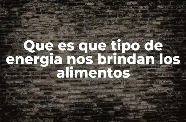 Que es que Tipo de Energia Nos Brindan los Alimentos