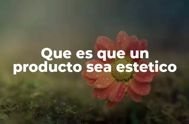 Que es que un Producto Sea Estetico