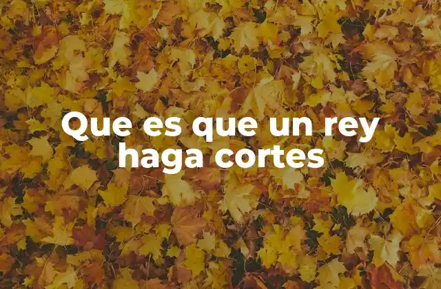 Que es que un Rey Haga Cortes