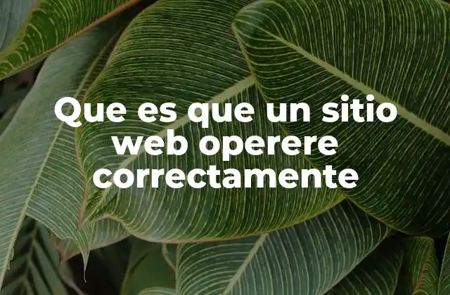 Que es que un Sitio Web Operere Correctamente