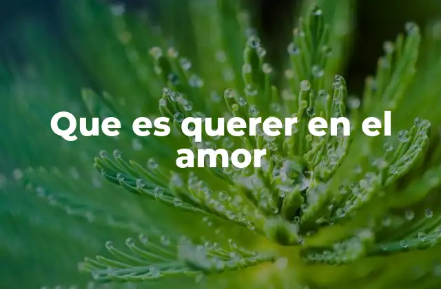 Que es Querer en el Amor