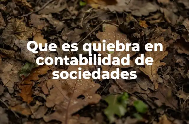 Que es Quiebra en Contabilidad de Sociedades
