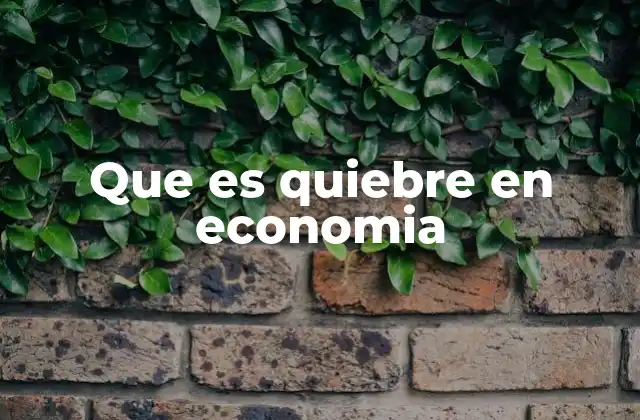 Que es Quiebre en Economia