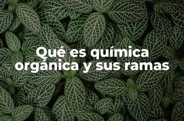 Qué es Química Orgánica y Sus Ramas