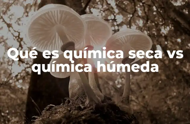 Qué es Química Seca Vs Química Húmeda
