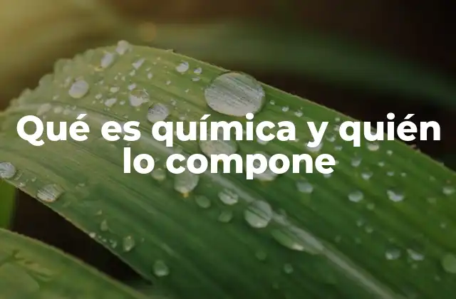 La estructura de la química y sus componentes fundamentales