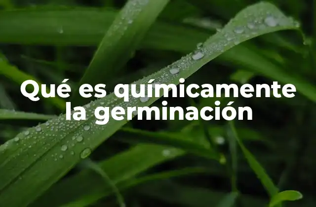 Qué es Químicamente la Germinación