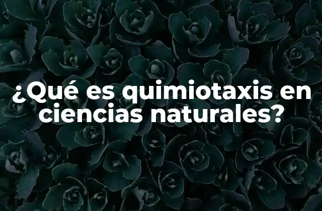¿qué es Quimiotaxis en Ciencias Naturales?