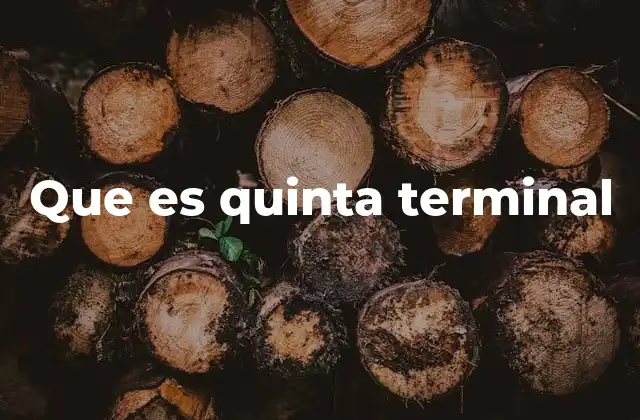 Que es Quinta Terminal