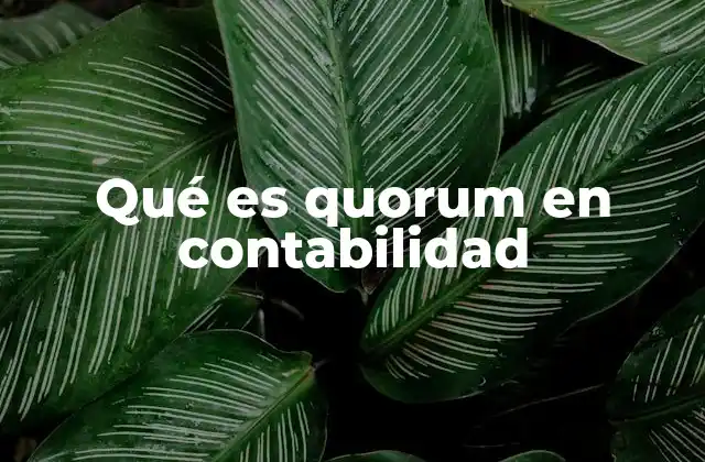 Qué es Quorum en Contabilidad