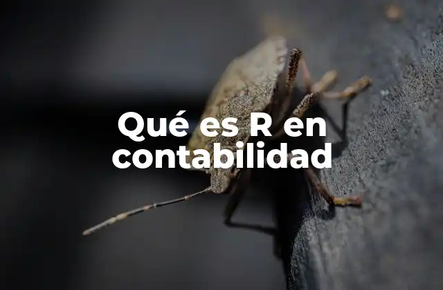 Qué es R en Contabilidad