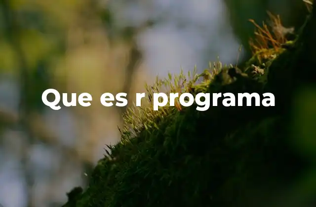 Que es R Programa