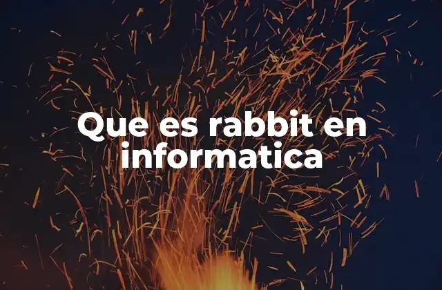 Que es Rabbit en Informatica