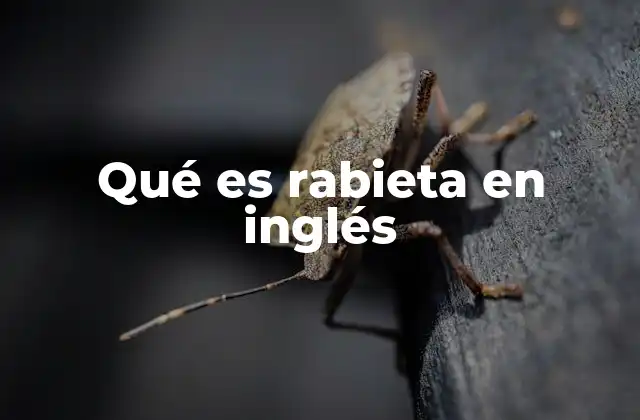 Qué es Rabieta en Inglés
