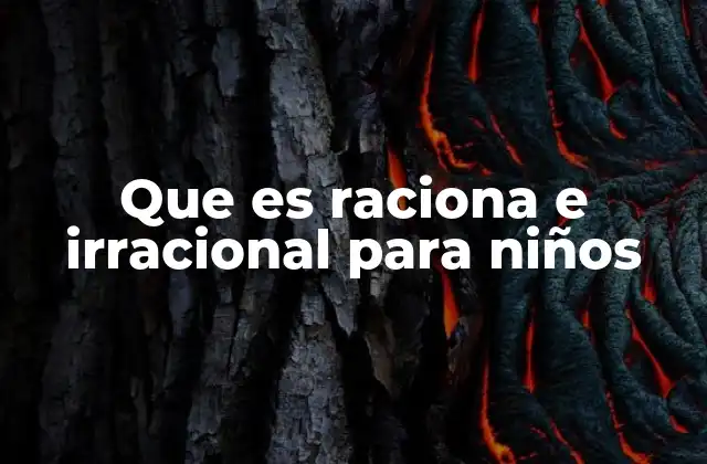 Que es Raciona e Irracional para Niños