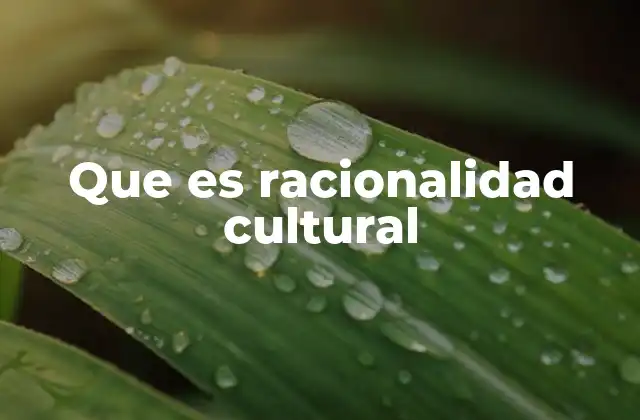 Que es Racionalidad Cultural 2 Diversidad en los sistemas de pensamiento humano