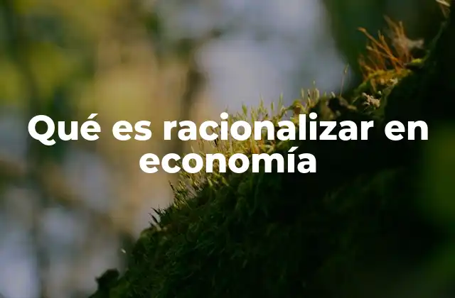 Qué es Racionalizar en Economía