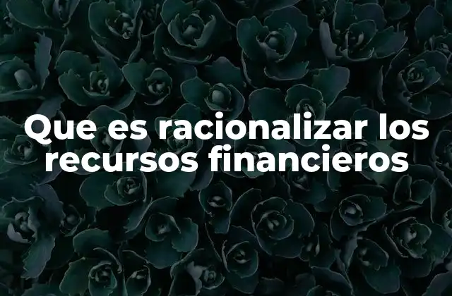 Que es Racionalizar los Recursos Financieros