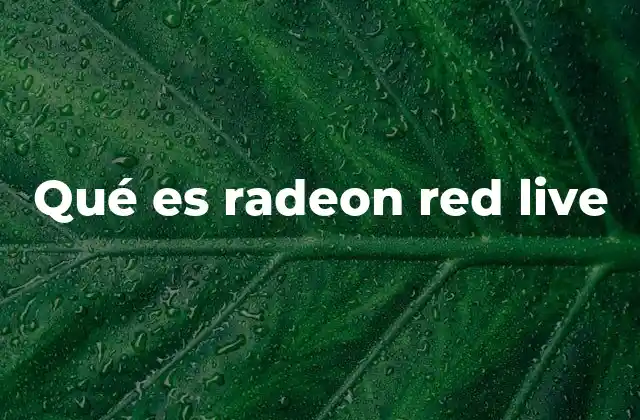 Qué es Radeon Red Live 2 Cómo Radeon Red Live mejora la experiencia de streaming