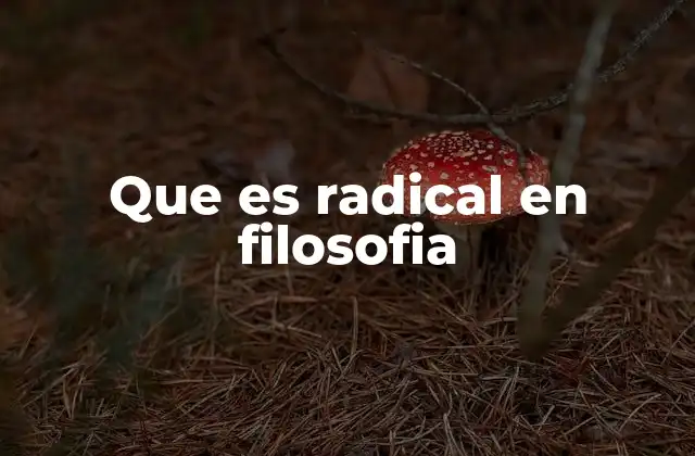 Que es Radical en Filosofia