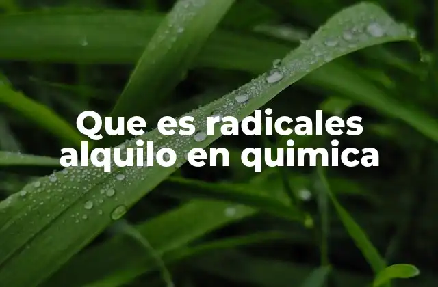 Que es Radicales Alquilo en Quimica