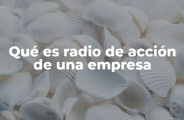Qué es Radio de Acción de una Empresa