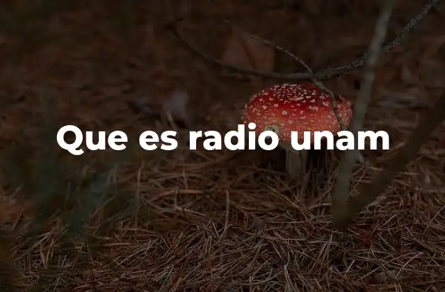 La importancia de la radio en la educación universitaria
