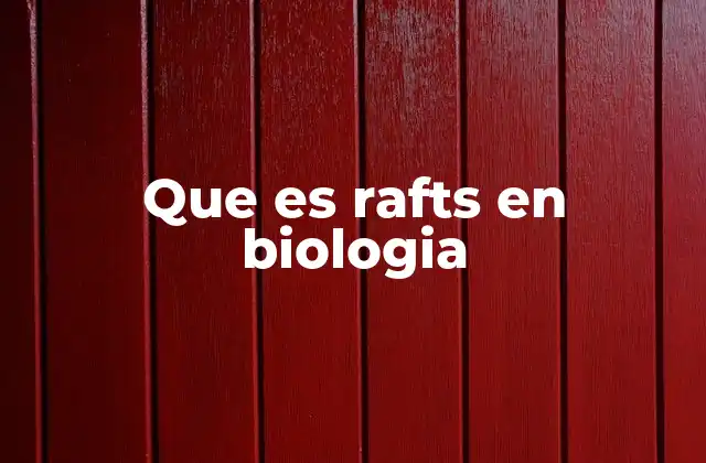 Que es Rafts en Biologia