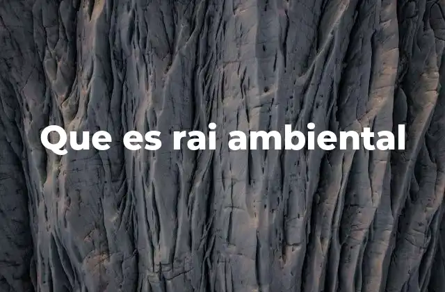 Que es Rai Ambiental